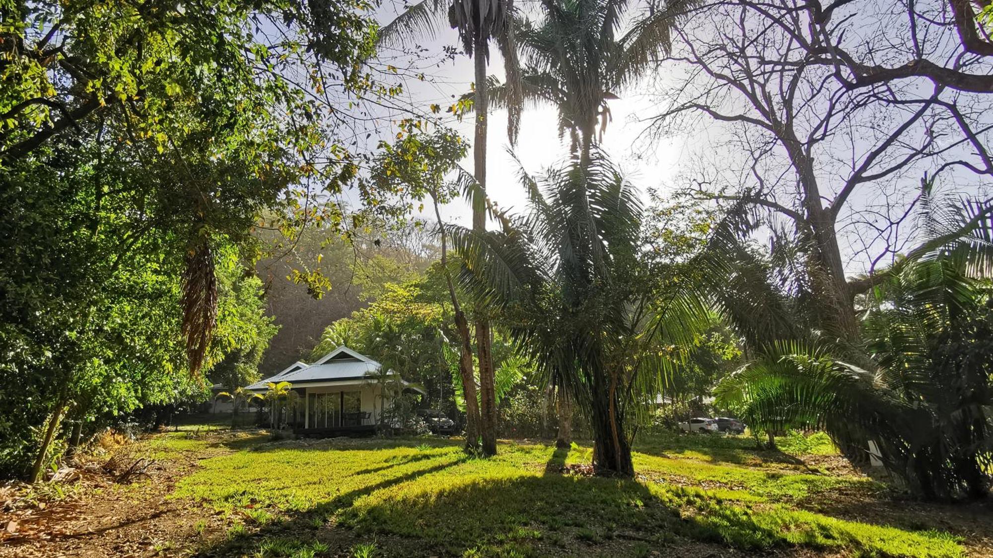 Armadillo Eco Bungalows - Santa Teresa Playa Santa Teresa  Dış mekan fotoğraf