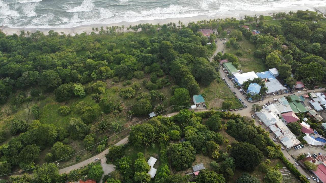 Armadillo Eco Bungalows - Santa Teresa Playa Santa Teresa  Dış mekan fotoğraf