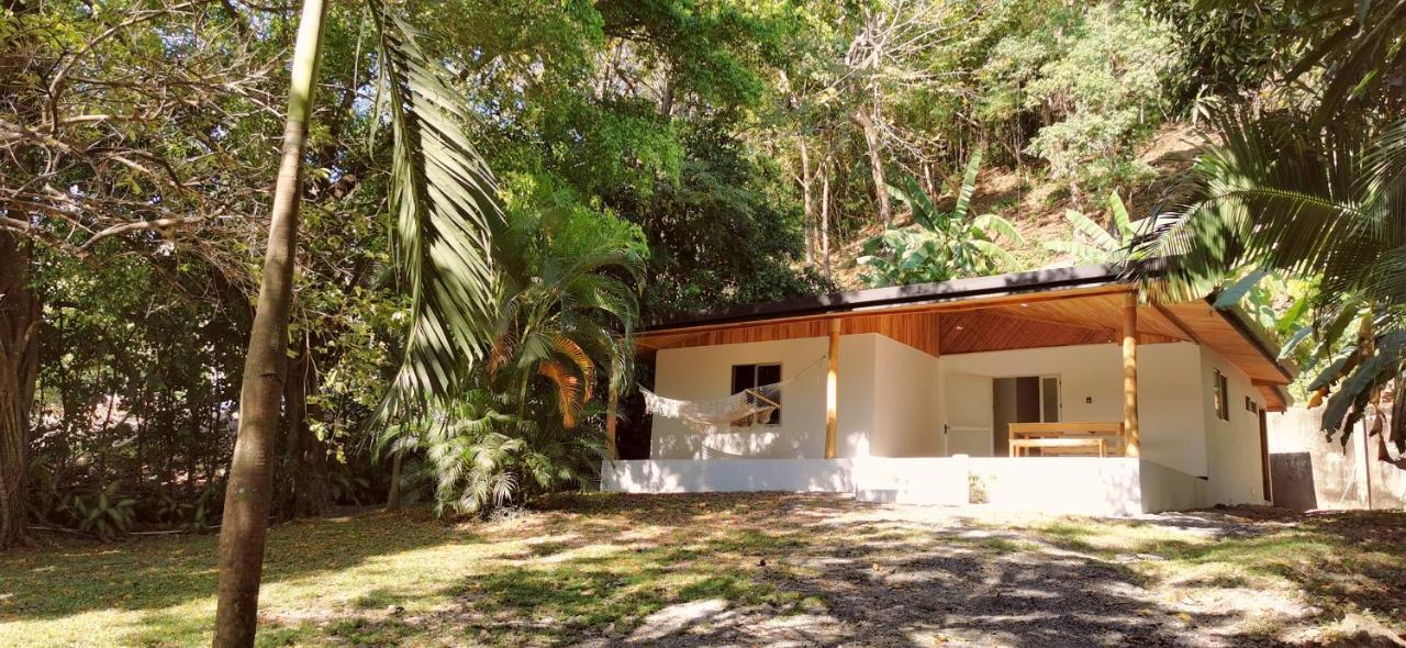 Armadillo Eco Bungalows - Santa Teresa Playa Santa Teresa  Dış mekan fotoğraf