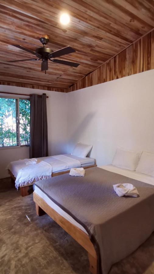 Armadillo Eco Bungalows - Santa Teresa Playa Santa Teresa  Dış mekan fotoğraf