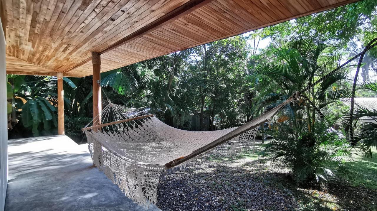 Armadillo Eco Bungalows - Santa Teresa Playa Santa Teresa  Dış mekan fotoğraf