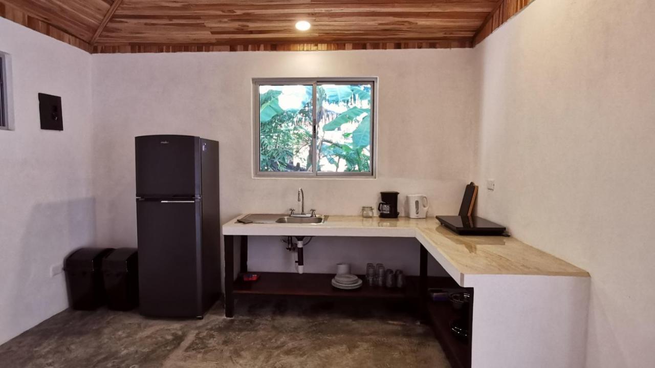 Armadillo Eco Bungalows - Santa Teresa Playa Santa Teresa  Dış mekan fotoğraf