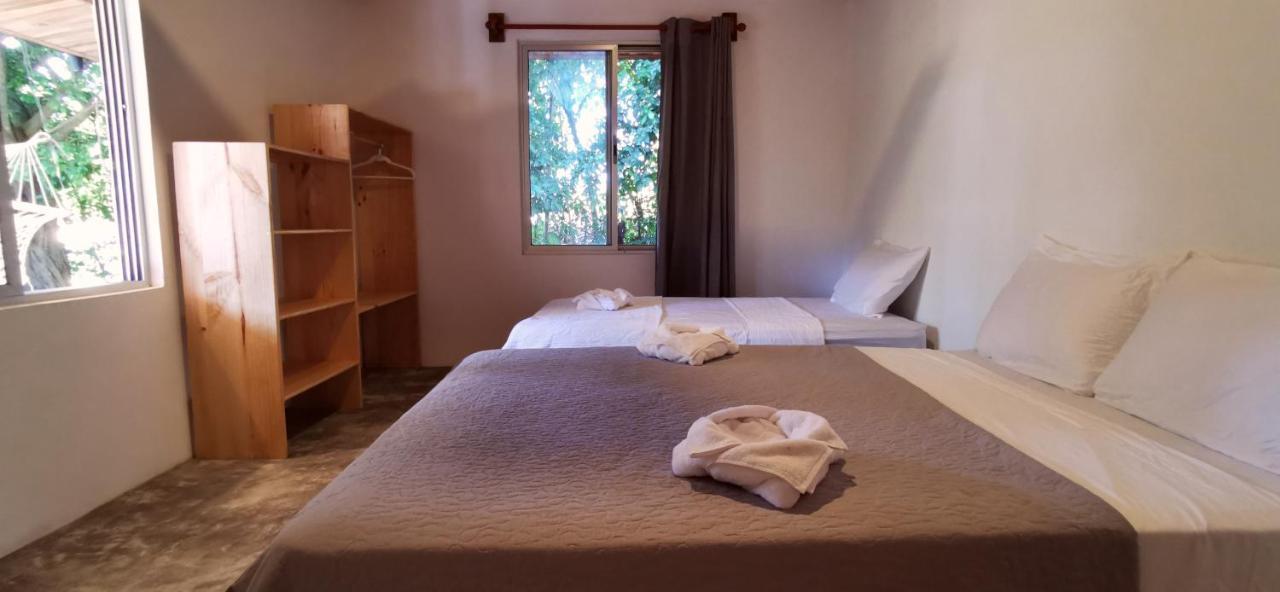 Armadillo Eco Bungalows - Santa Teresa Playa Santa Teresa  Dış mekan fotoğraf