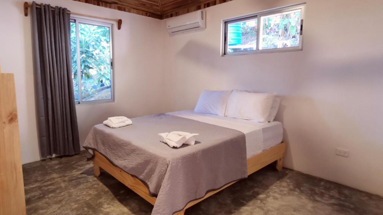 Armadillo Eco Bungalows - Santa Teresa Playa Santa Teresa  Dış mekan fotoğraf