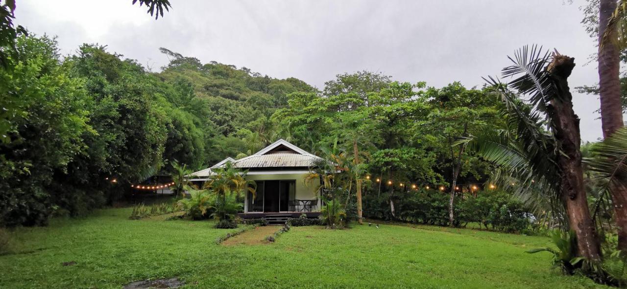 Armadillo Eco Bungalows - Santa Teresa Playa Santa Teresa  Dış mekan fotoğraf