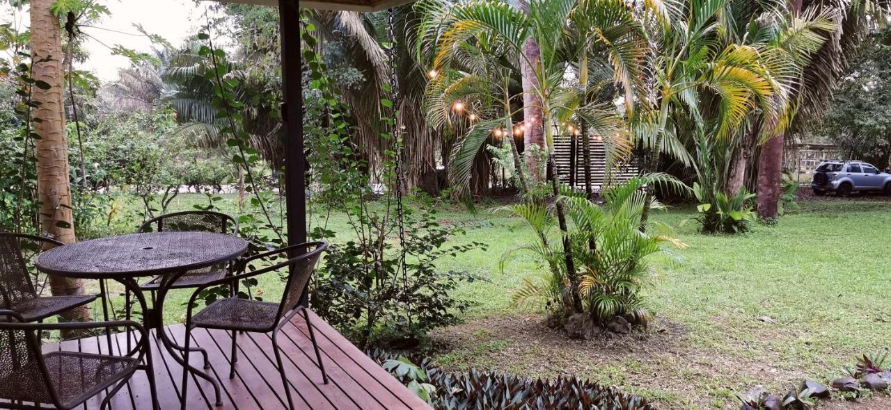 Armadillo Eco Bungalows - Santa Teresa Playa Santa Teresa  Dış mekan fotoğraf