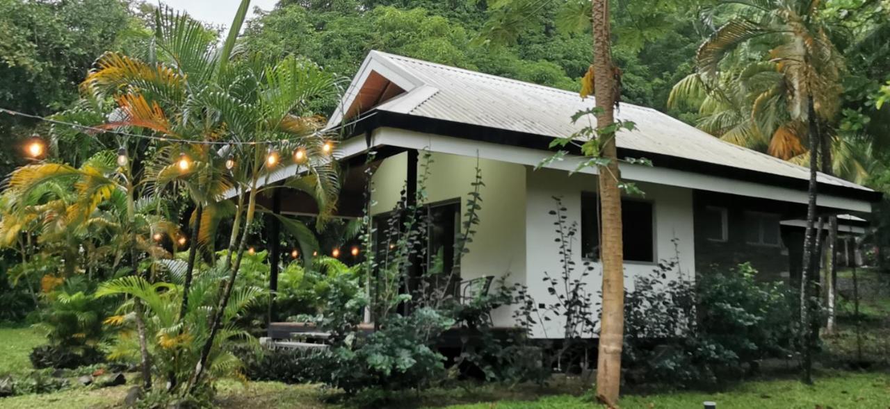 Armadillo Eco Bungalows - Santa Teresa Playa Santa Teresa  Dış mekan fotoğraf